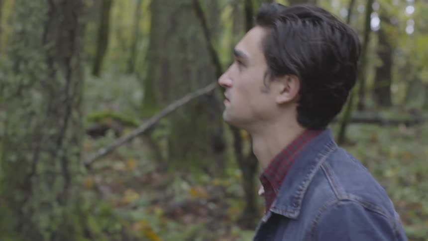 Man walks through forest and looks up