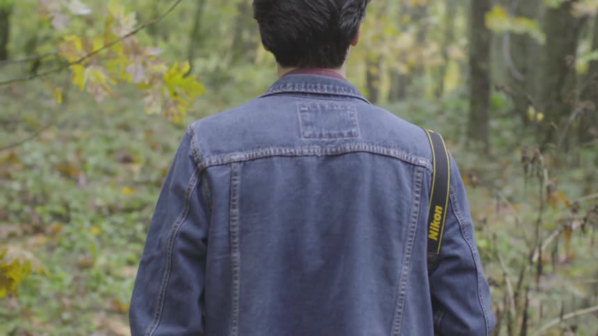 Man walks through forest alone