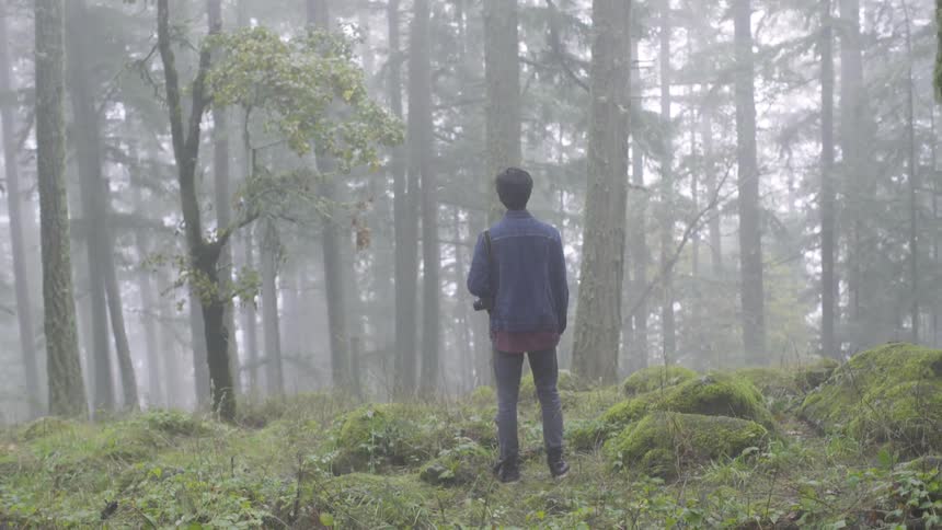 A man walking through a misty forest carrying a camera