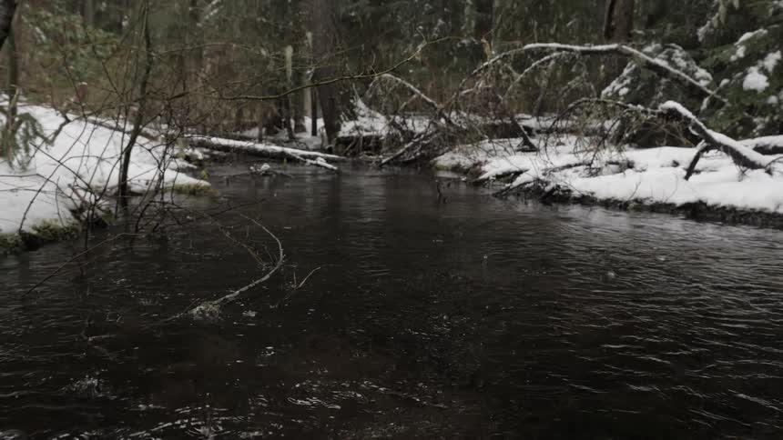 Rain drops on stream through snowy forest