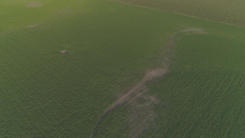 A  huge green field is broken up by dirt roads