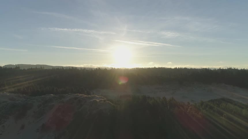Golden Hour Forest Aerials