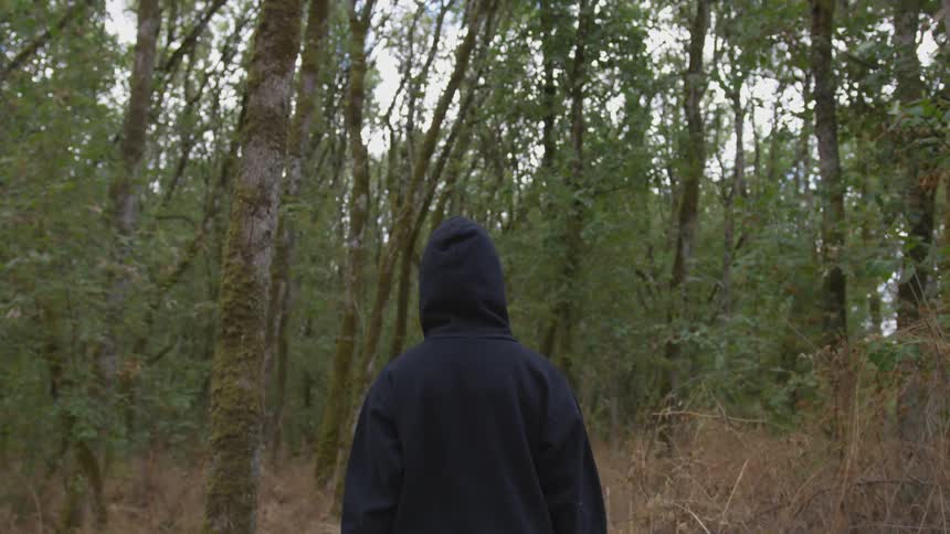 The person is walking through the woods