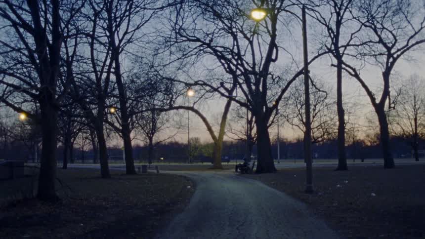 A path through a park at sunset