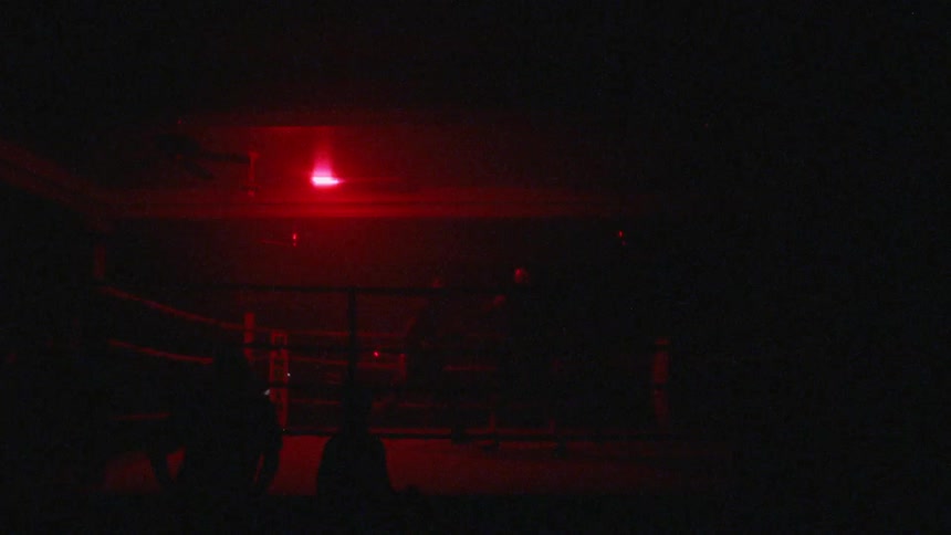 People are boxing together indoors