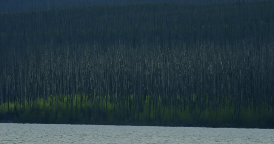 Man Traveling In Montana