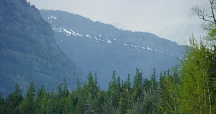 Trees and mountains sit under a cloudy sky
