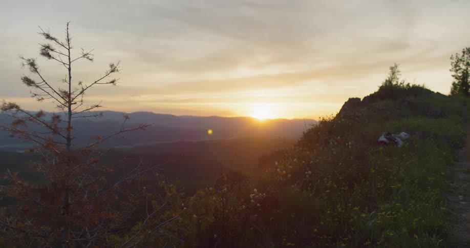 Sun rising over a forest