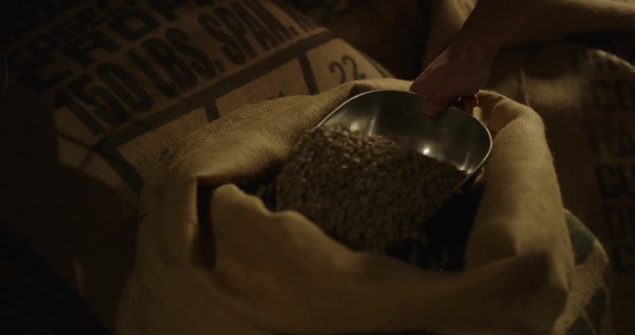 A person scoops coffee beans out of a sack
