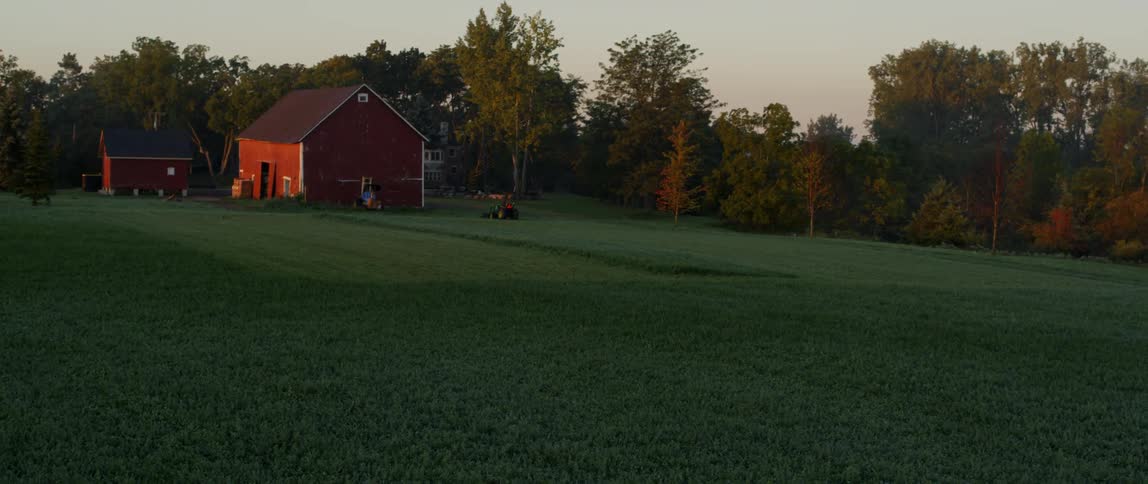 The field before the ban is green at sunset