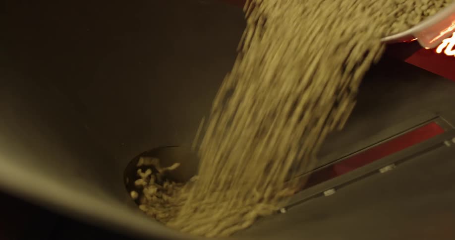 Beans are poured into a machine