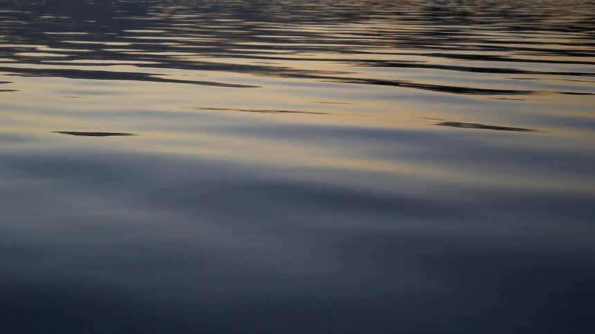The water is reflecting the setting sun