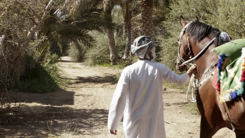 A Bedouin leads a horse into an oasis