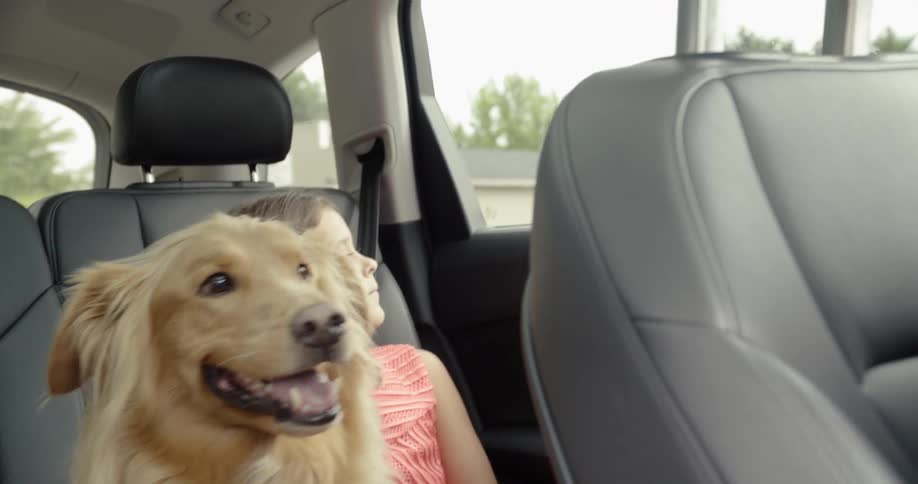 A girl and dog sitting in the backseat of a moving vehicle