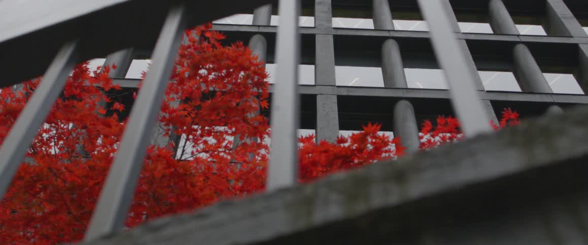 The building has a tree with red blossoms on the side