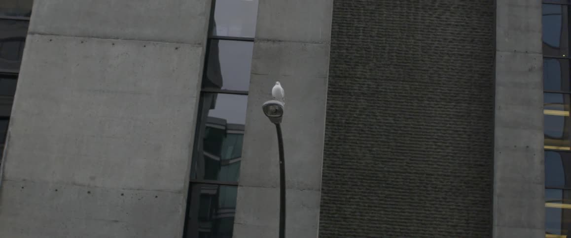 The lamp post is near the side of the building