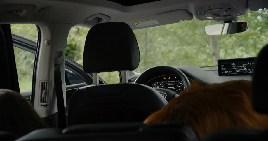 The man gets out of the car with the dog in the backseat