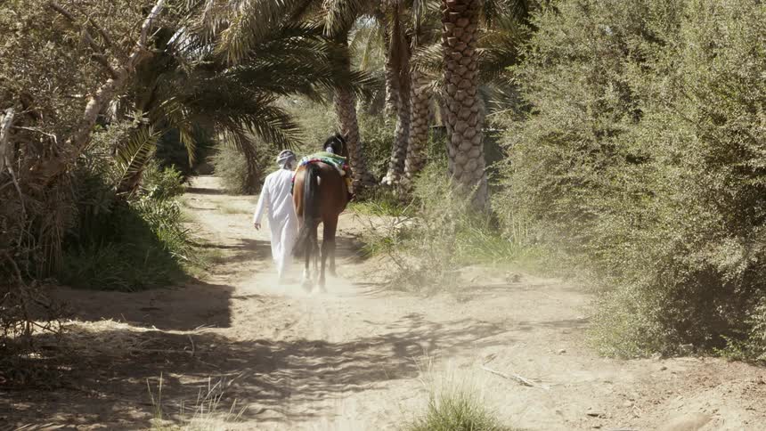 Man walking a horse down a dusty trail