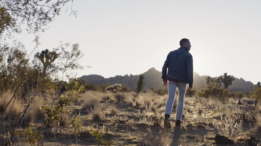 Man walks in wasteland near sunset