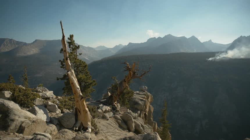 A rocky cliff with trees on it and a view of mountains
