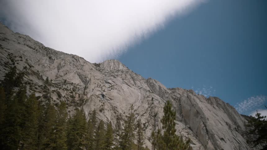 A cliffside and trees towering overhead