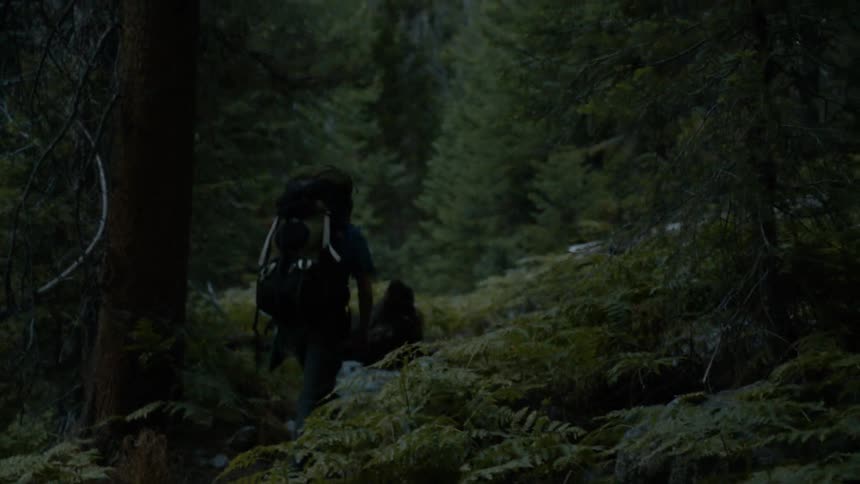A person is hiking in the woods