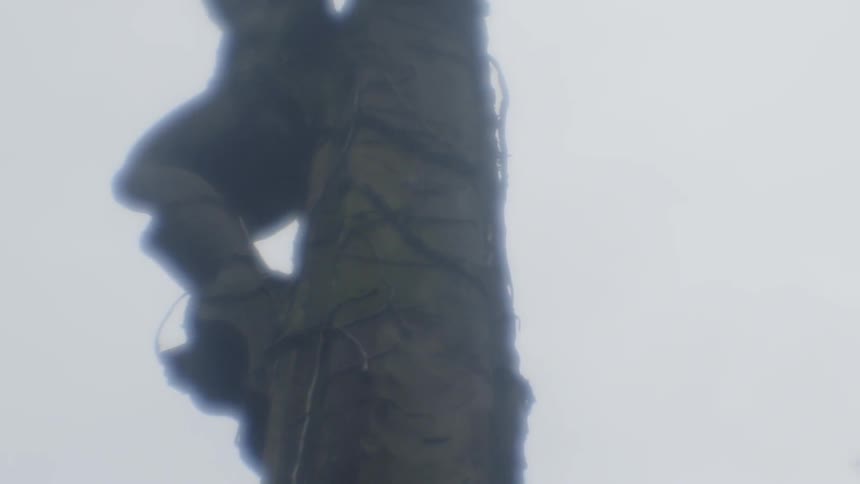 A crucifix statue is near the forest