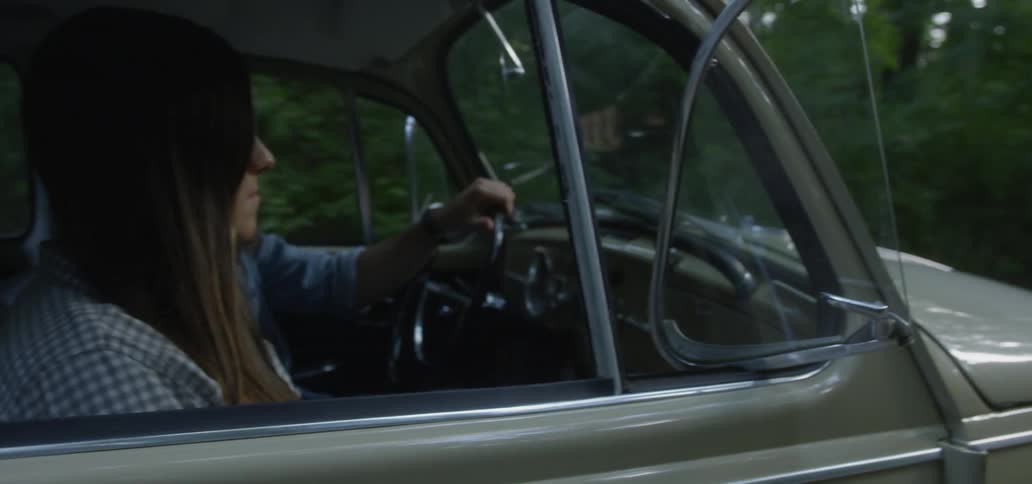 Man and woman travel in a vehicle past the trees