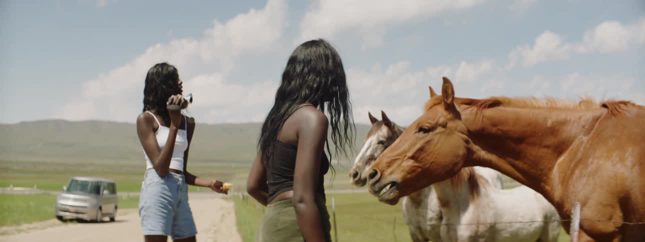 A girl is filming a girl that is feeding horses
