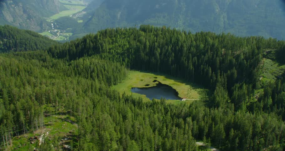 A small lake is sitting between green trees.