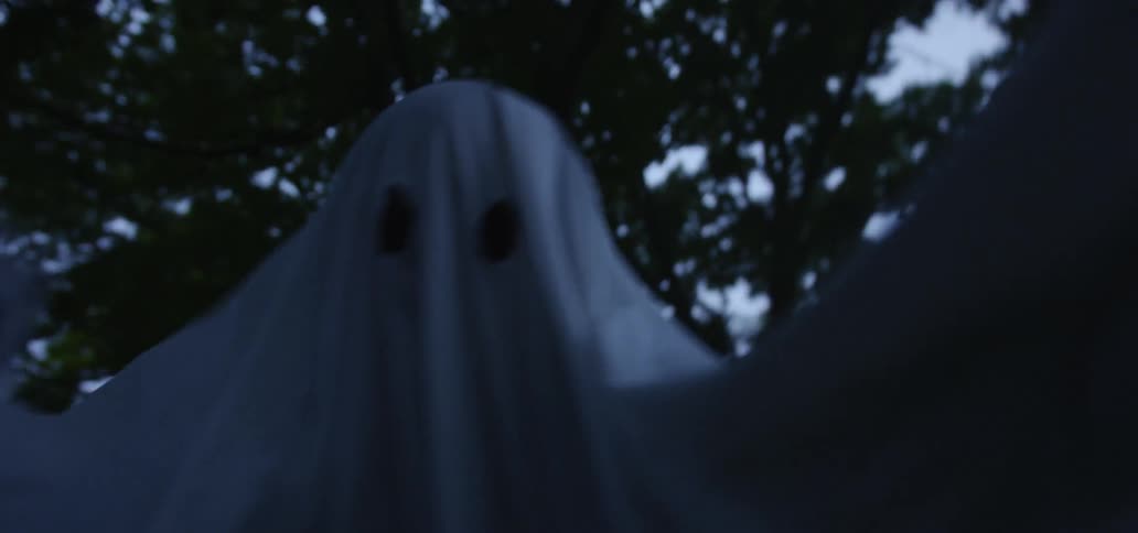 A person is wearing a ghost costume outside