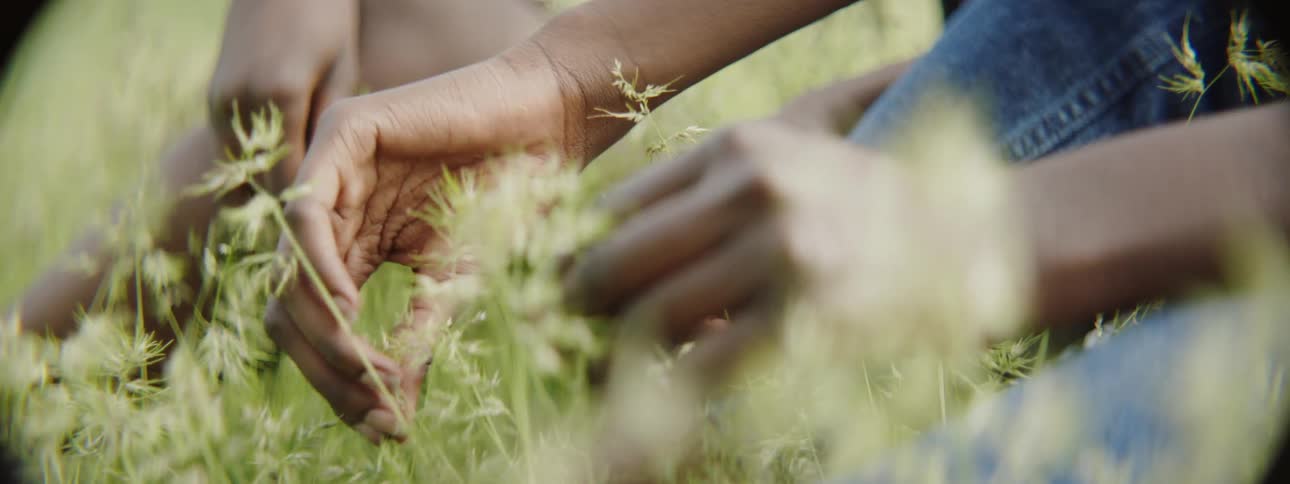 People sitting in the grass play with and touch the stems