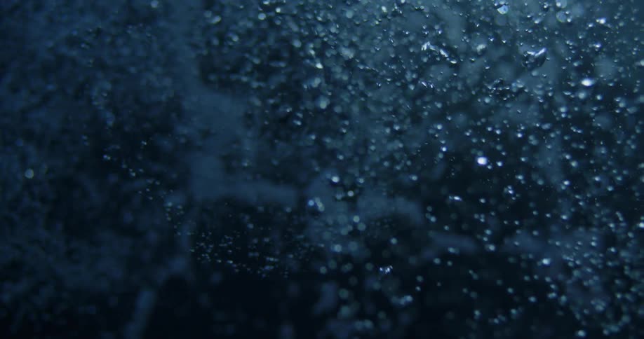 Air bubbles moving underwater