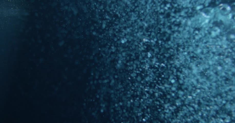 Air bubbles rising underwater