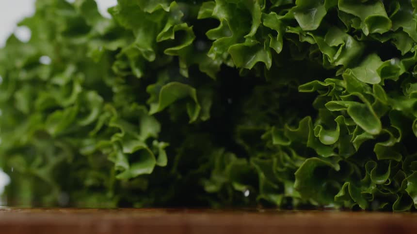 Moist lettuce leafs placed on a cutting table