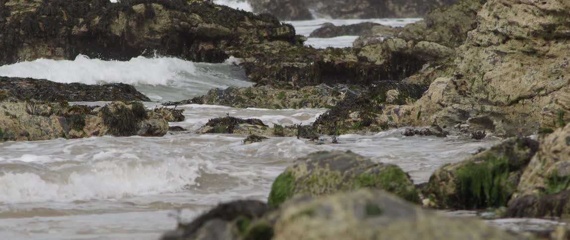 Ocean waves crash into a rocky shore