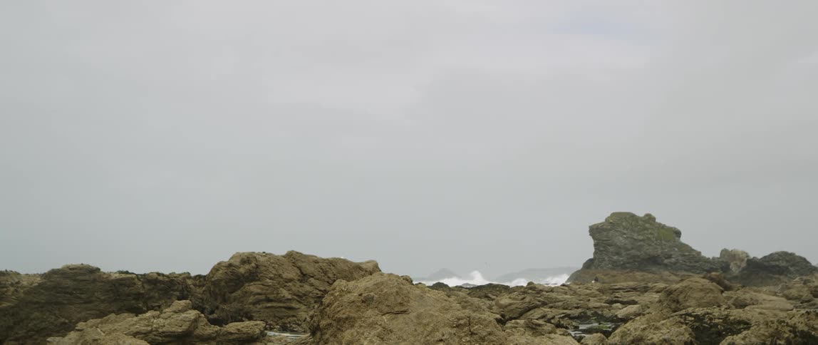 Coastal Scenics