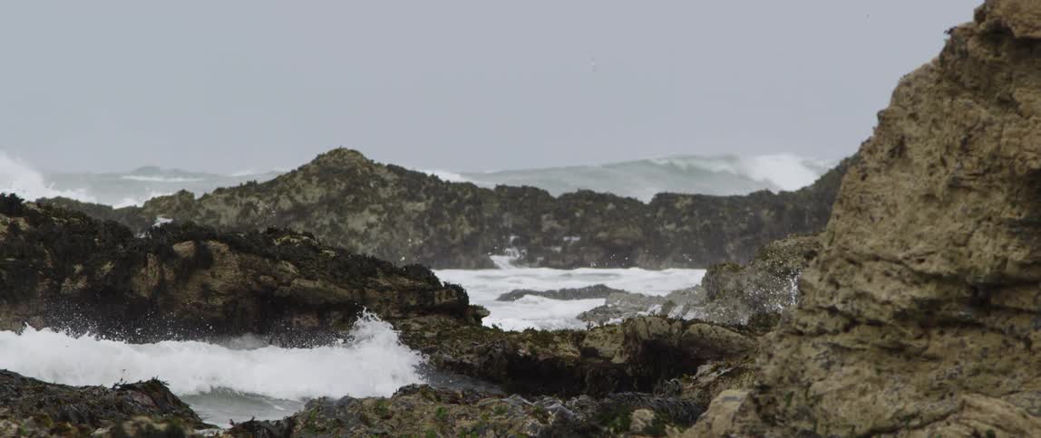 Coastal Scenics