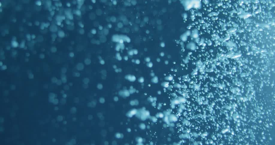 Bubbles float underwater