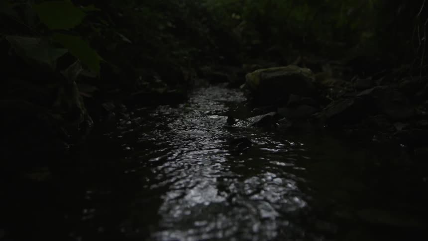 Water ripples in a stream