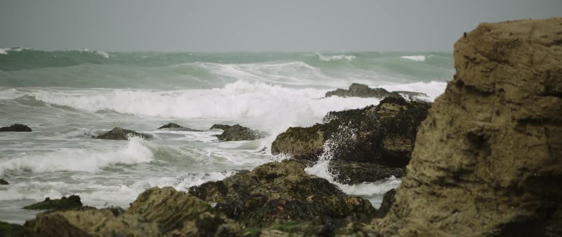 Coastal Scenics