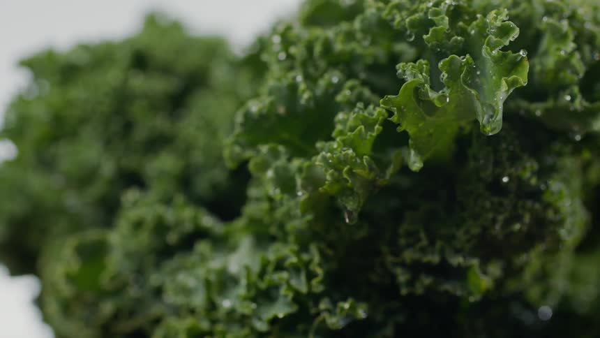 A vegetable has water dripping off of it