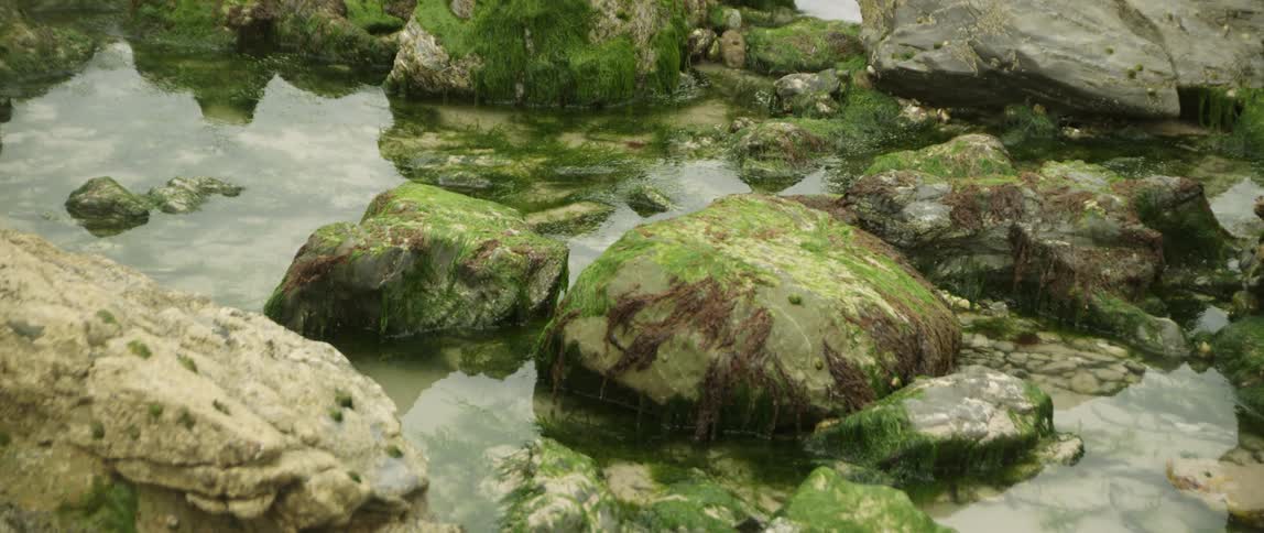 Water flows in between large mossy rocks