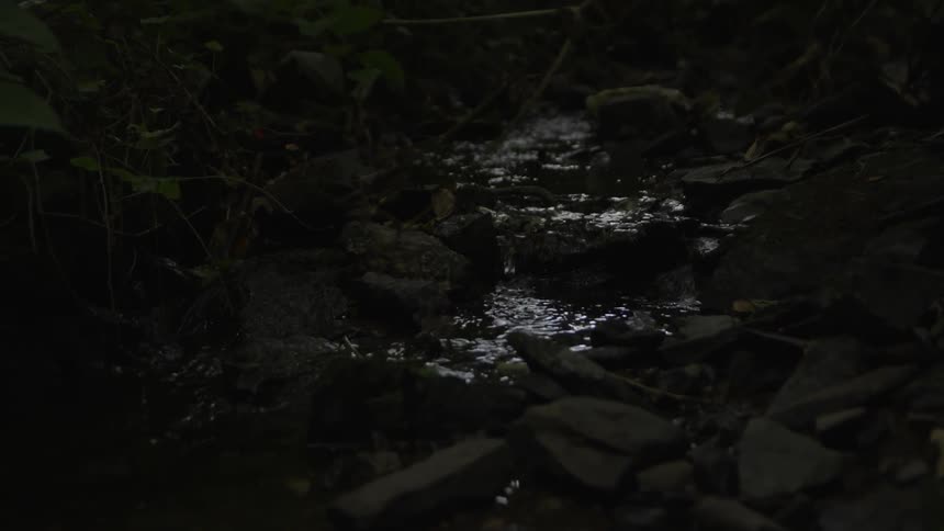Stream water flows over the rocks
