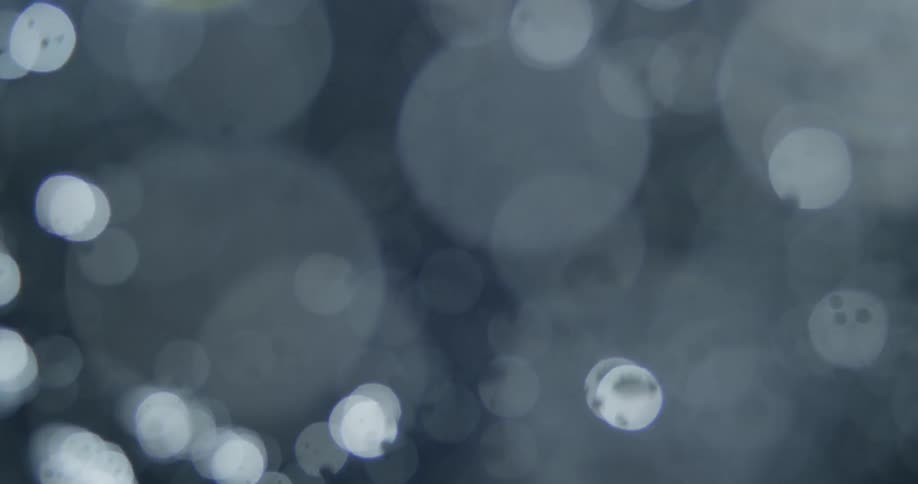 Bubbles float underwater