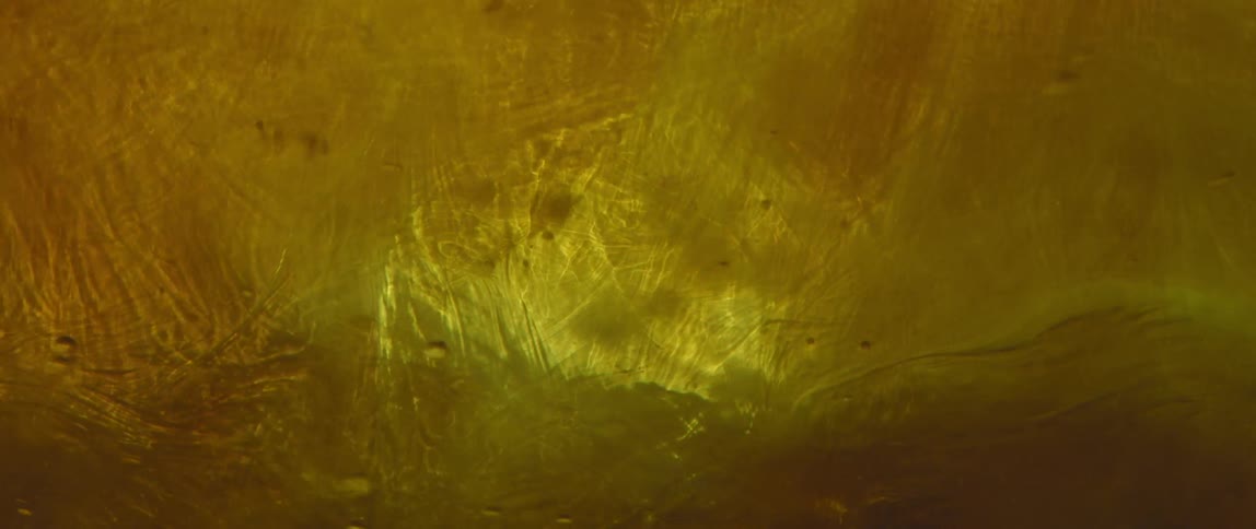 Bubbles flow beneath a swirling liquid