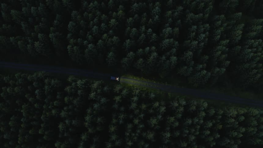 An aerial view of a vehicle going through a forest road
