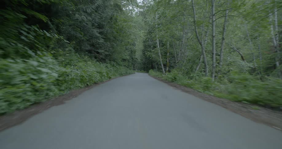 The small road runs through the forest