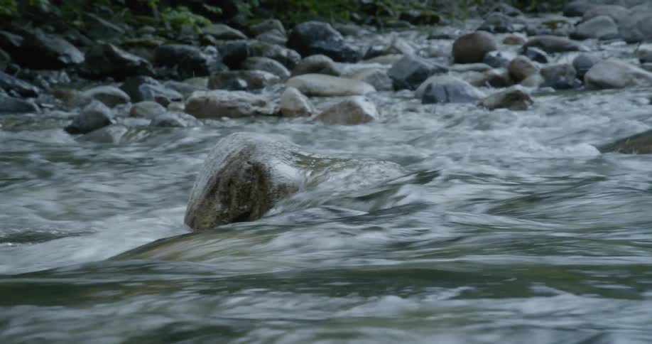 The water flows fast over the rocks in the stream