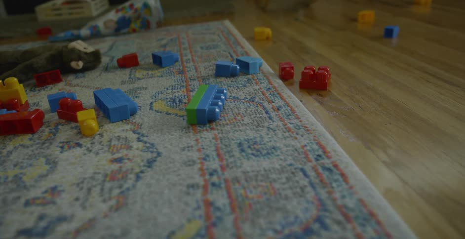 Toys are strewn across rug and wooden floor